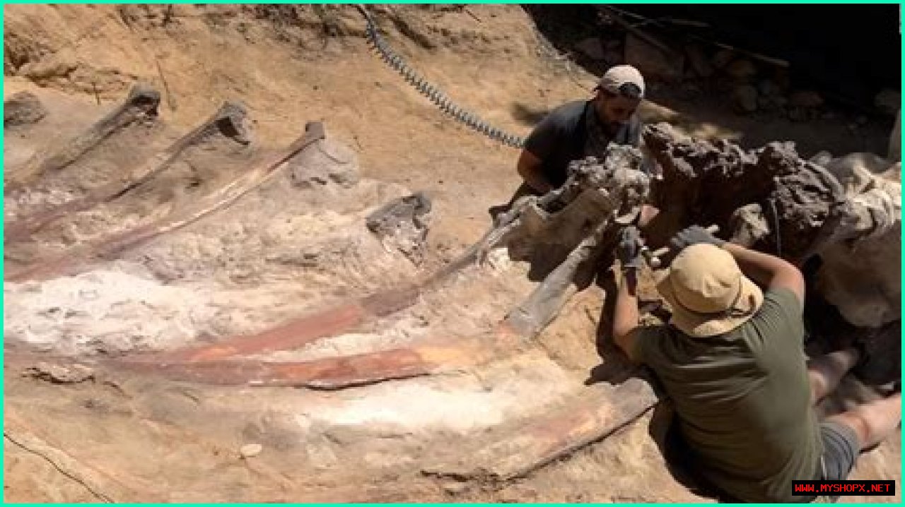 Digging Deep Into The Abby Berner Leaks: Uncovering Secrets And Consequences