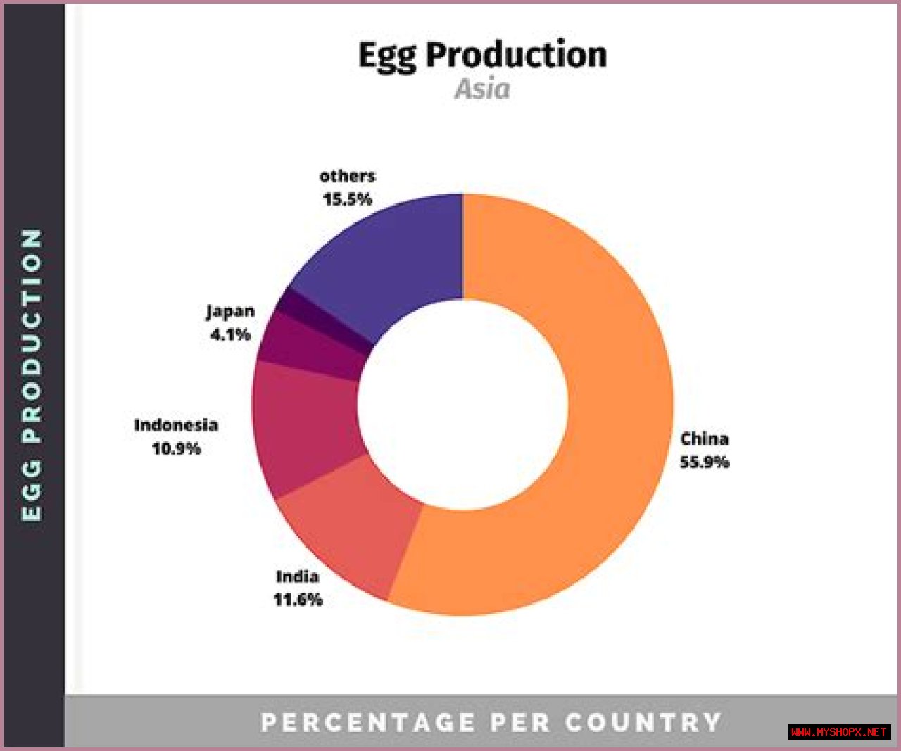 Understanding Egg2025: The Future Of Egg Production And Sustainability